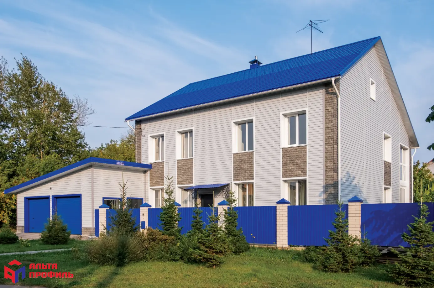 ПАНЕЛЬ ФАГОТ, ЦВЕТ РАМЕНСКИЙ