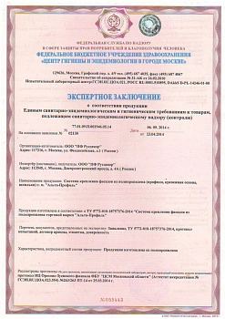 Экспертное заключение Русдекор